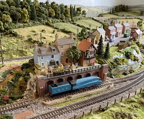 Scale gauge mallard - n,